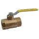 GM Ball Valve Steam Forged Bronze Body SS Parts (RMW)